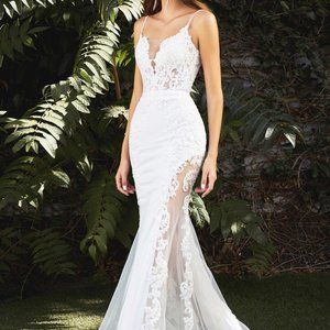 Cinderella White Lace wedding Dress